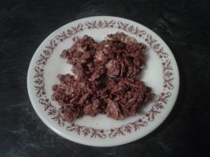 Low Carb No-Bake Chocolate Cookies 